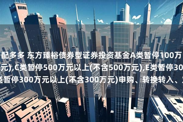 配多多 东方臻裕债券型证券投资基金A类暂停100万元以上(不含100万元),C类暂停500万元以上(不含500万元),E类暂停300万元以上(不含300万元)申购、转换转入、定期定额投资公告