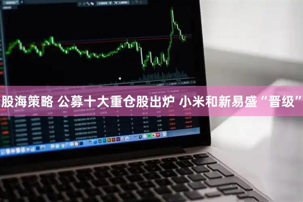 股海策略 公募十大重仓股出炉 小米和新易盛“晋级”